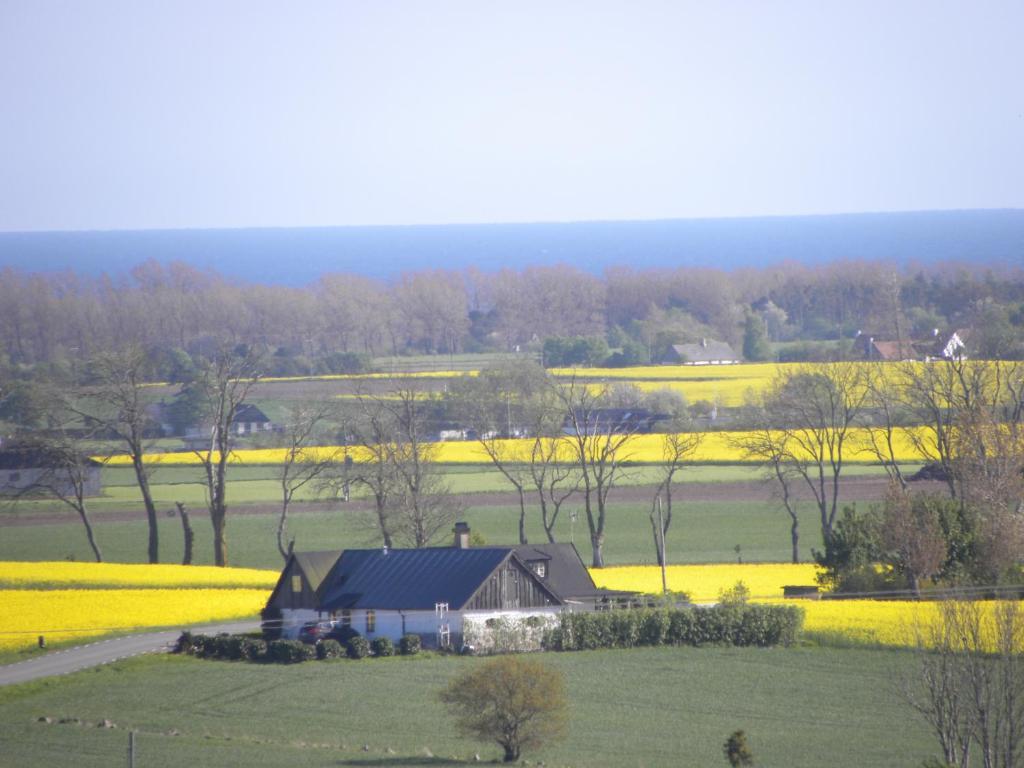 Glimminge Bed & Breakfast Simrishamn Bagian luar foto