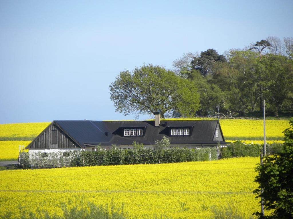 Glimminge Bed & Breakfast Simrishamn Bagian luar foto