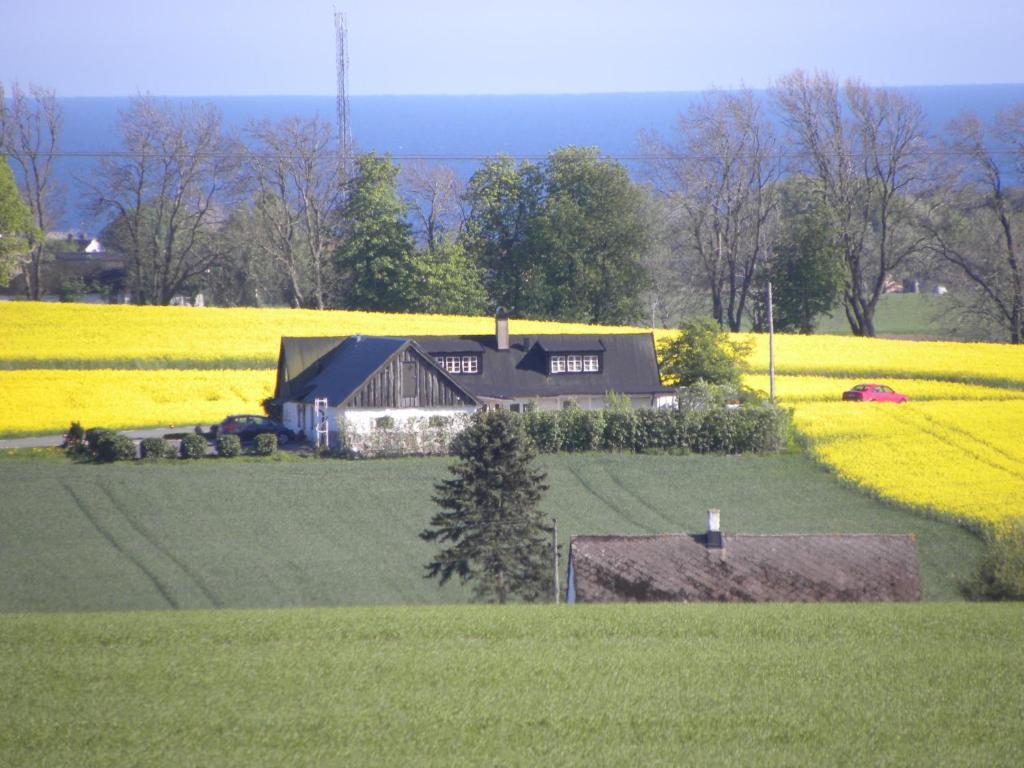 Glimminge Bed & Breakfast Simrishamn Bagian luar foto