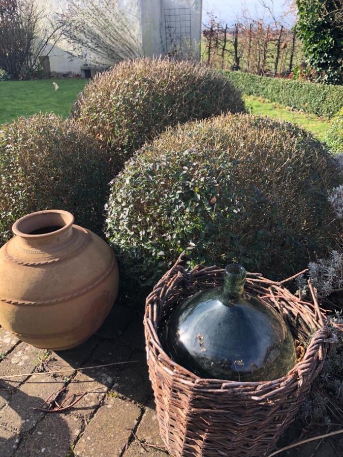Glimminge Bed & Breakfast Simrishamn Bagian luar foto