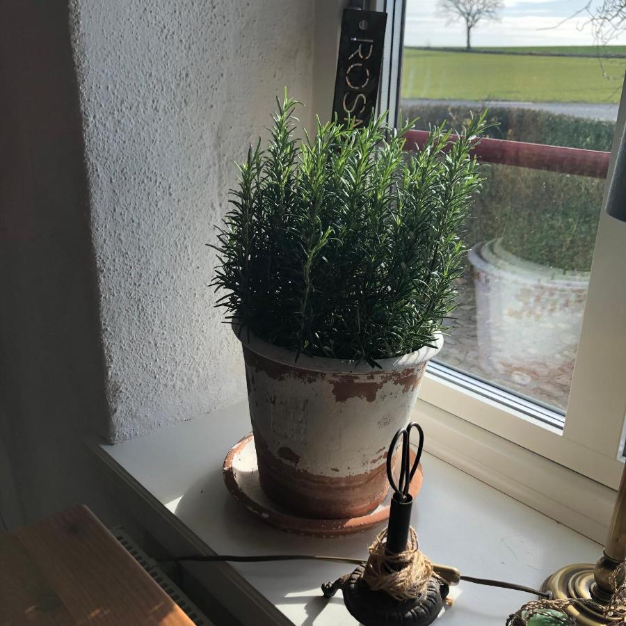 Glimminge Bed & Breakfast Simrishamn Bagian luar foto
